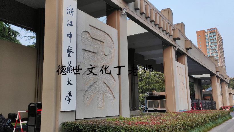 申报非遗｜德世文化丁老师：传统中医《炁脉调理》成功申请为非物质文化遗产|传承人